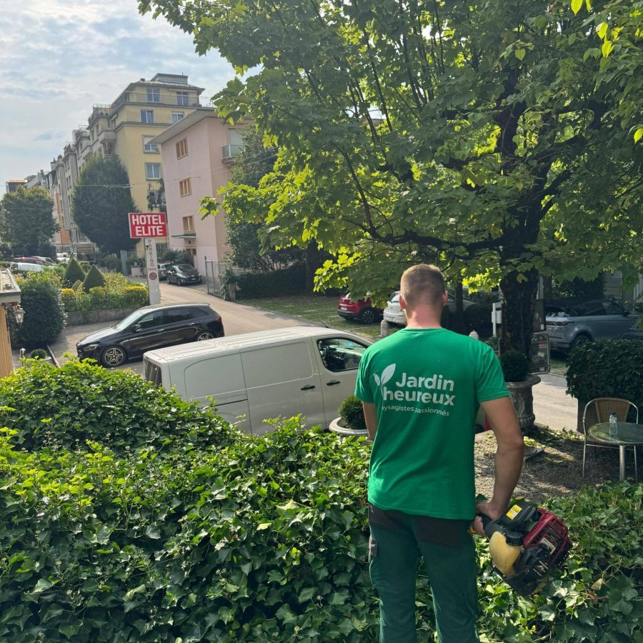 WhatsApp Image 2025-08-27 at 15.50.47 (1)